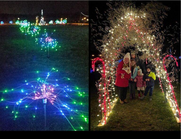 2nd Annual Winter Lights Walk Outdoor Art Exhibit Artist's Call for